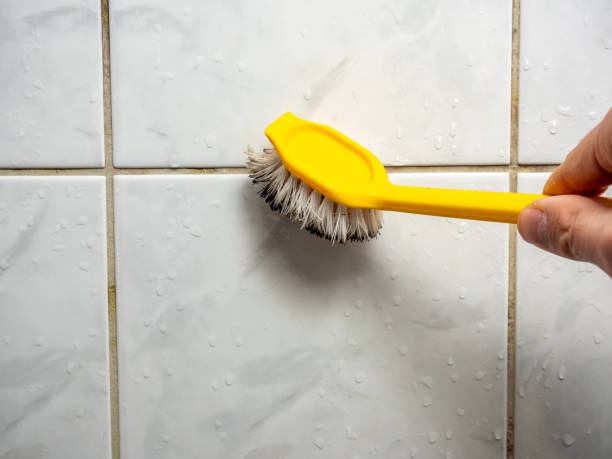 Best Localized Mold Remediation (e.g., coastal areas, humid climates) in Chandler, TX
