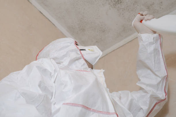 Best Residential Mold Remediation in Chandler, TX